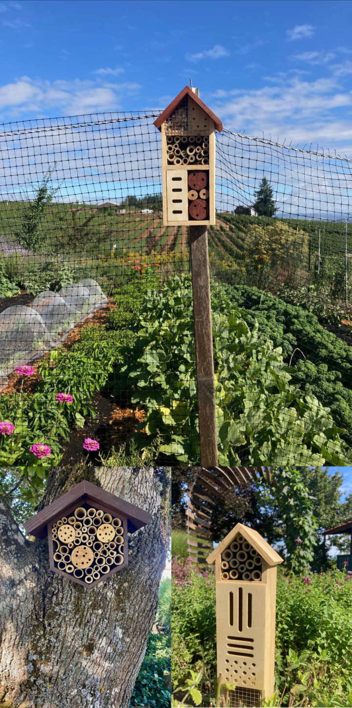 Bee "Motels" placed throughout the garden
