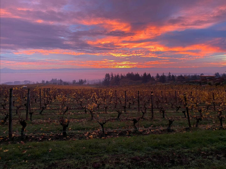Picture-perfect sunrises and sunsets are easy to find throughout Willamette Valley like this view at Brooks Wine in Amity. 