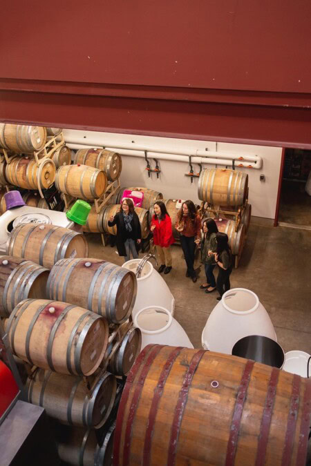 A group of four female wine tasters tour a winery's barrel room and learn about the art of winemaking while the vineyard outside teaches the art of grape growing or viticulture. 