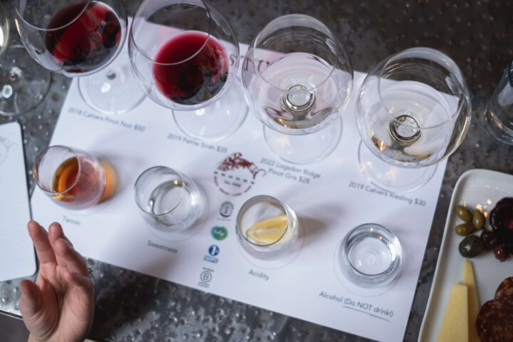 A tasting flight of wine designed to help a beginner wine taster learn how to identify and describe wine's basic characteristics and profile. 
