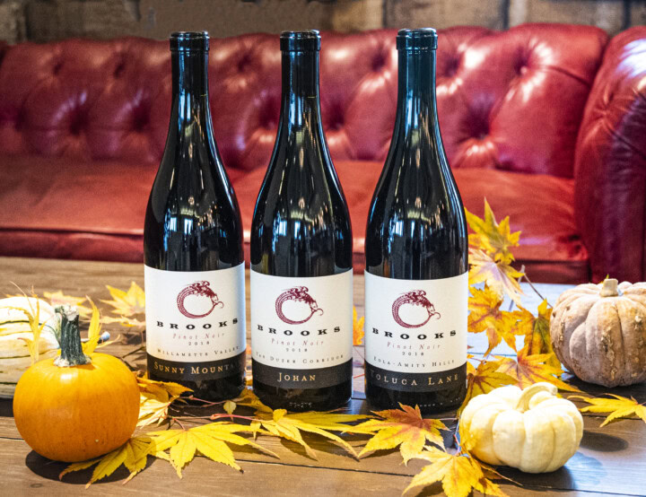 Three bottles of Pinot Nour sit in a wooden table decorated with yellow leaves, orange pumpkins, and white gourds with a red leather couch in the background.