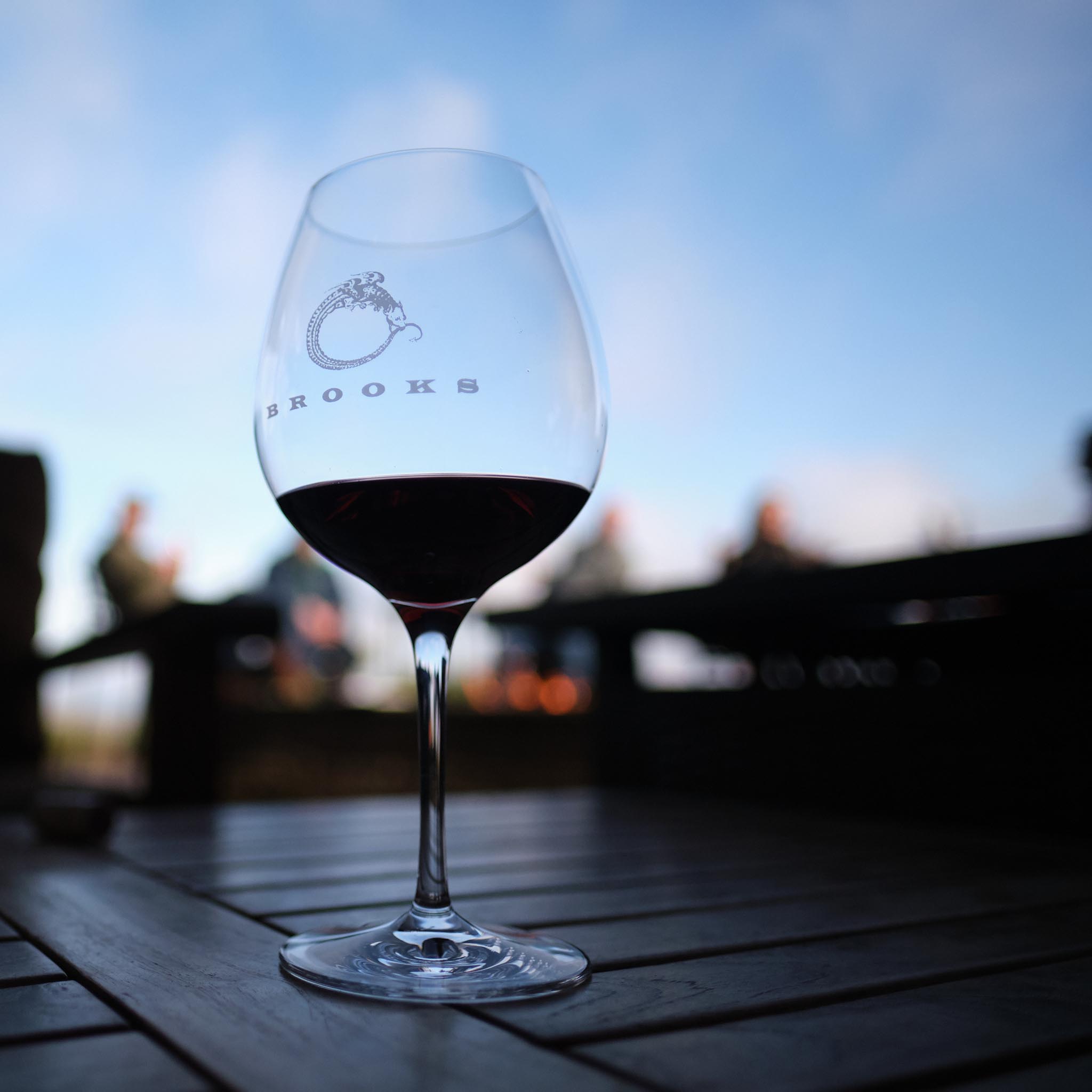 Gamay Noir Release Party
